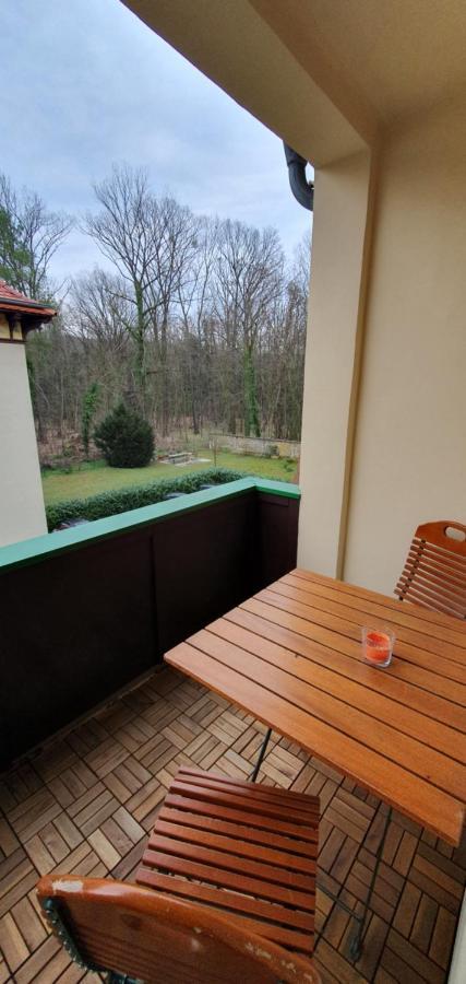 Maisonettewohnung In Elbnaehe Δρέσδη Εξωτερικό φωτογραφία